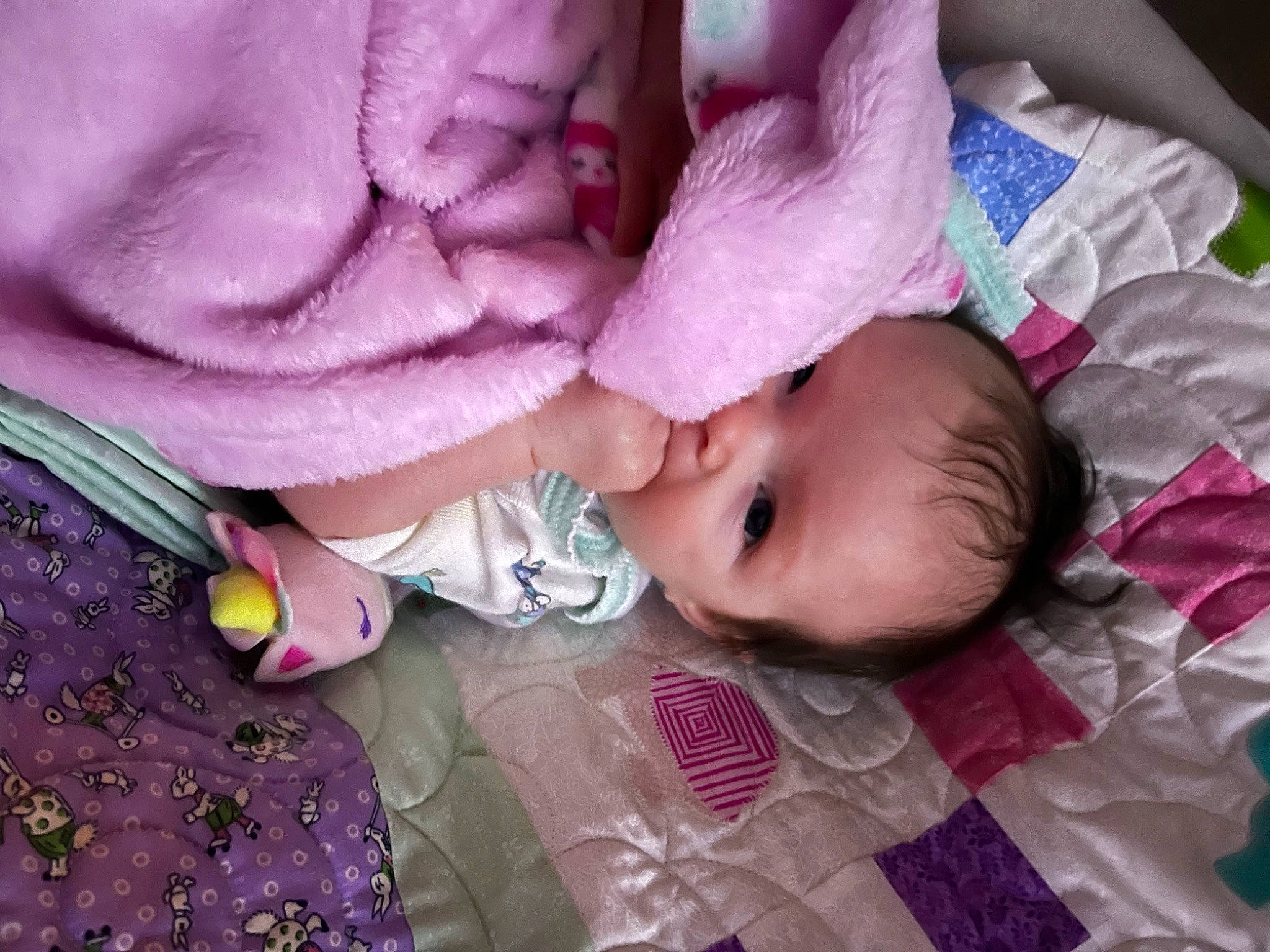 Alissa is registered to the contest to win money with this photo: baby, baby_toddler_clothing, beauty, cheek, child, comfort, eye, face, leaf, linens, lip, magenta, mammal, person, pink, product, purple, skin, textile, toddler