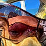 Littleman joined the competition — help win amazing prizes! accessories, adult, animal, belt, canine, chihuahua, dog, face, glasses, goggles, head, hound, male, man, mirror, person, pet, puppy, sphere, sunglasses