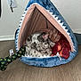 Tru is registered to the contest to win money with this photo: puppy, dog, pet_bed, shark_bed, toy, bone_toy, blanket, floor, indoor, sleeping, curled_up, cozy, animal, spotted, cute, resting, fur, ears, small, home