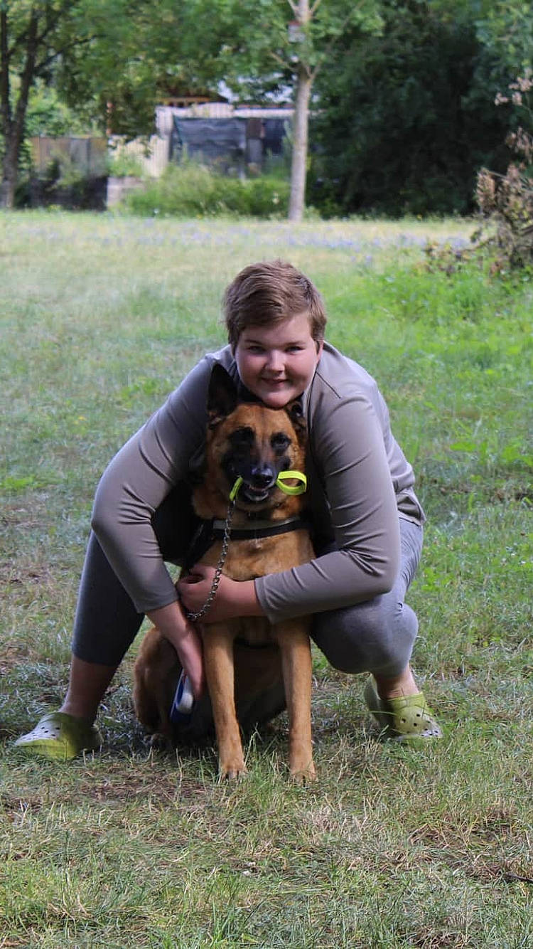 Jena a rejoint le concours — aidez-le/la à gagner de superbes lots ! canidae, carnivore, companion_dog, dog, dog_breed, fawn, grass, sitting, sporting_group