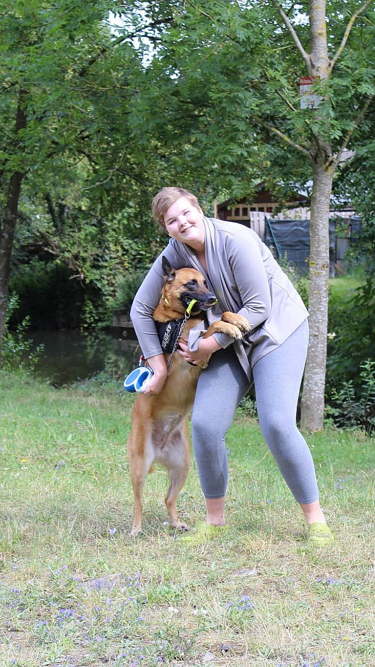 Jena participe au concours pour gagner de l'argent avec cette photo : canidae, carnivore, dog, dog_breed, dog_walking, fawn, hunting_dog, mammal