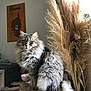 cat, fluffy, gray_cat, indoor, pampas_grass, stool, furniture, curious, pet, animal, cozy, living_room, decor, soft_lighting, wooden, plant, home, sitting, portrait, feline