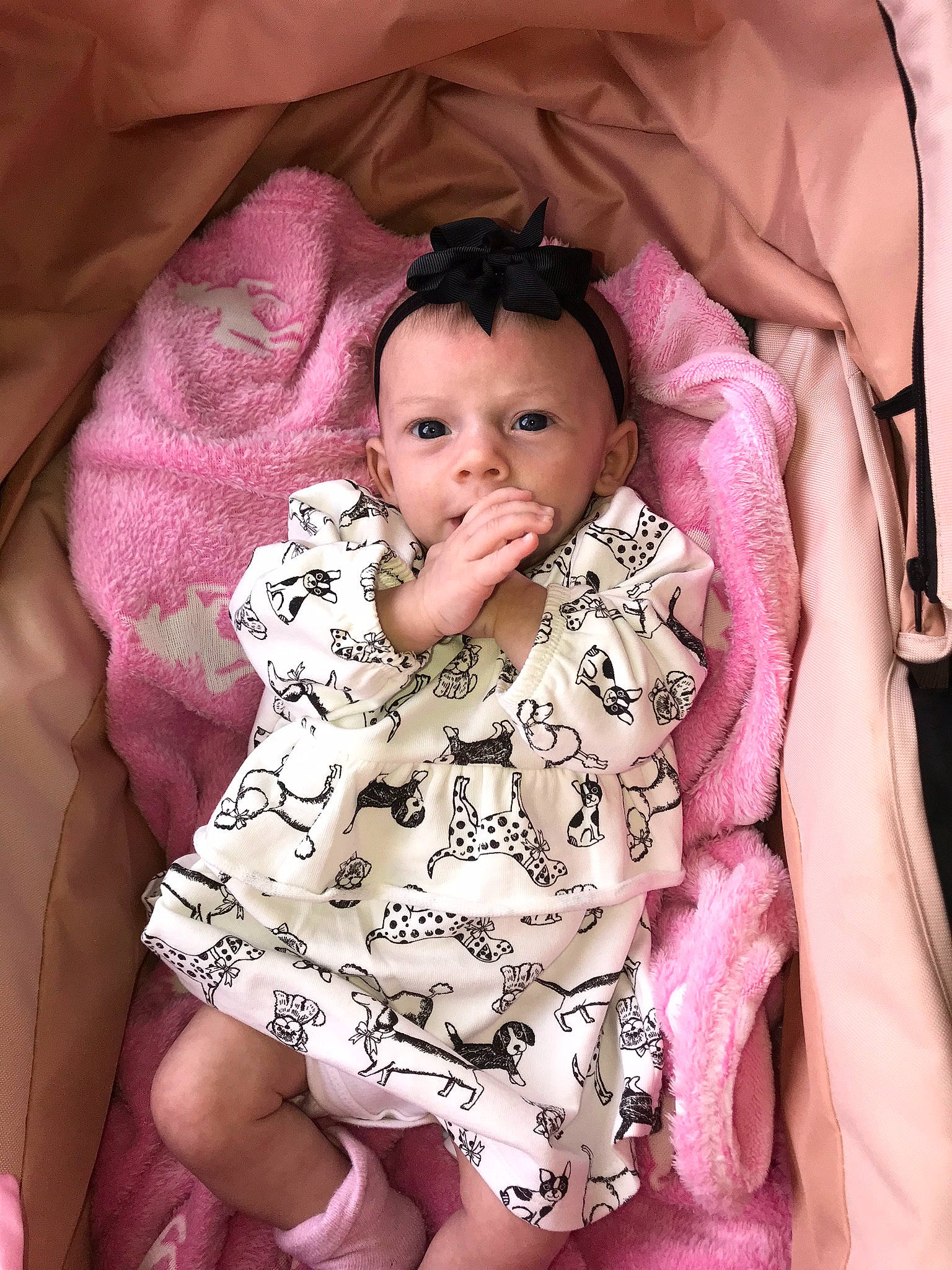 Evie Mai joined the competition — help win amazing prizes! baby, cheek, child, person, pink, skin, toddler