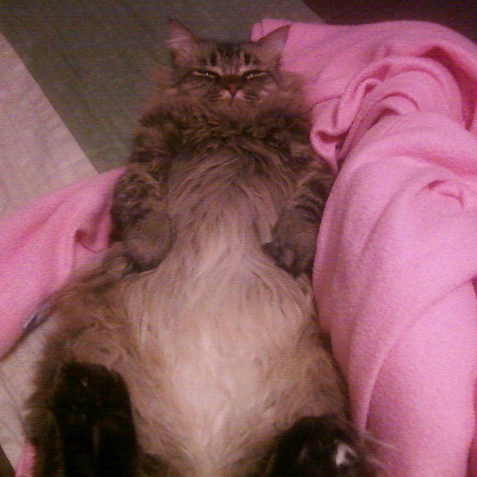Linus