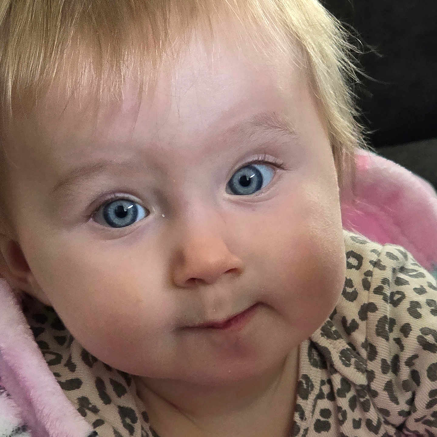 Valentina joined the competition — help win amazing prizes! baby, blonde_hair, blue_eyes, child, close_up, clothing, cozy, cute, expression, face, head, indoor, infant, leopard_print, person, pink_blanket, portrait, skin, soft_light, young_child