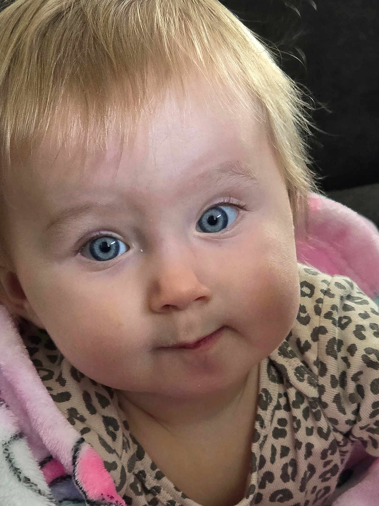 Valentina joined the competition — help win amazing prizes! baby, close_up, blue_eyes, blonde_hair, infant, face, pink_blanket, leopard_print, cute, child, portrait, soft_light, indoor, young_child, expression, clothing, skin, person, head, cozy