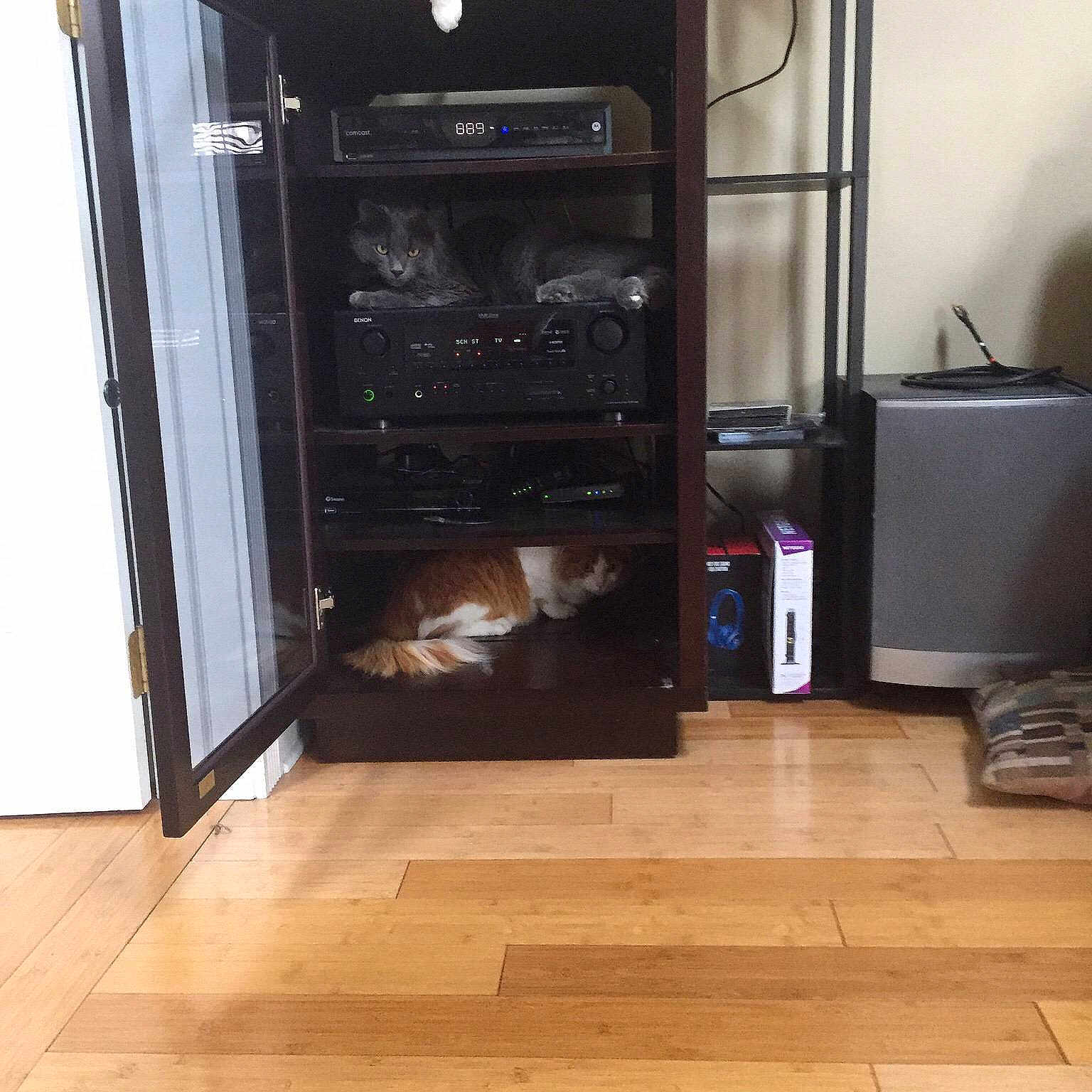 Nala
