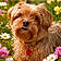 Baxter