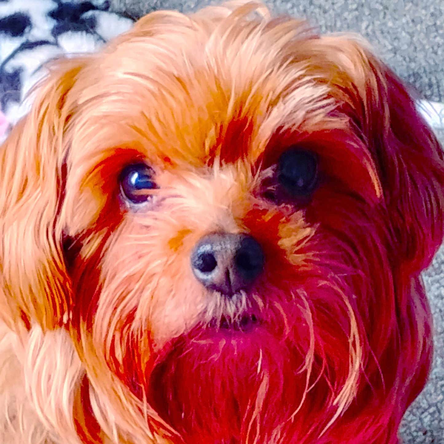 Baxter