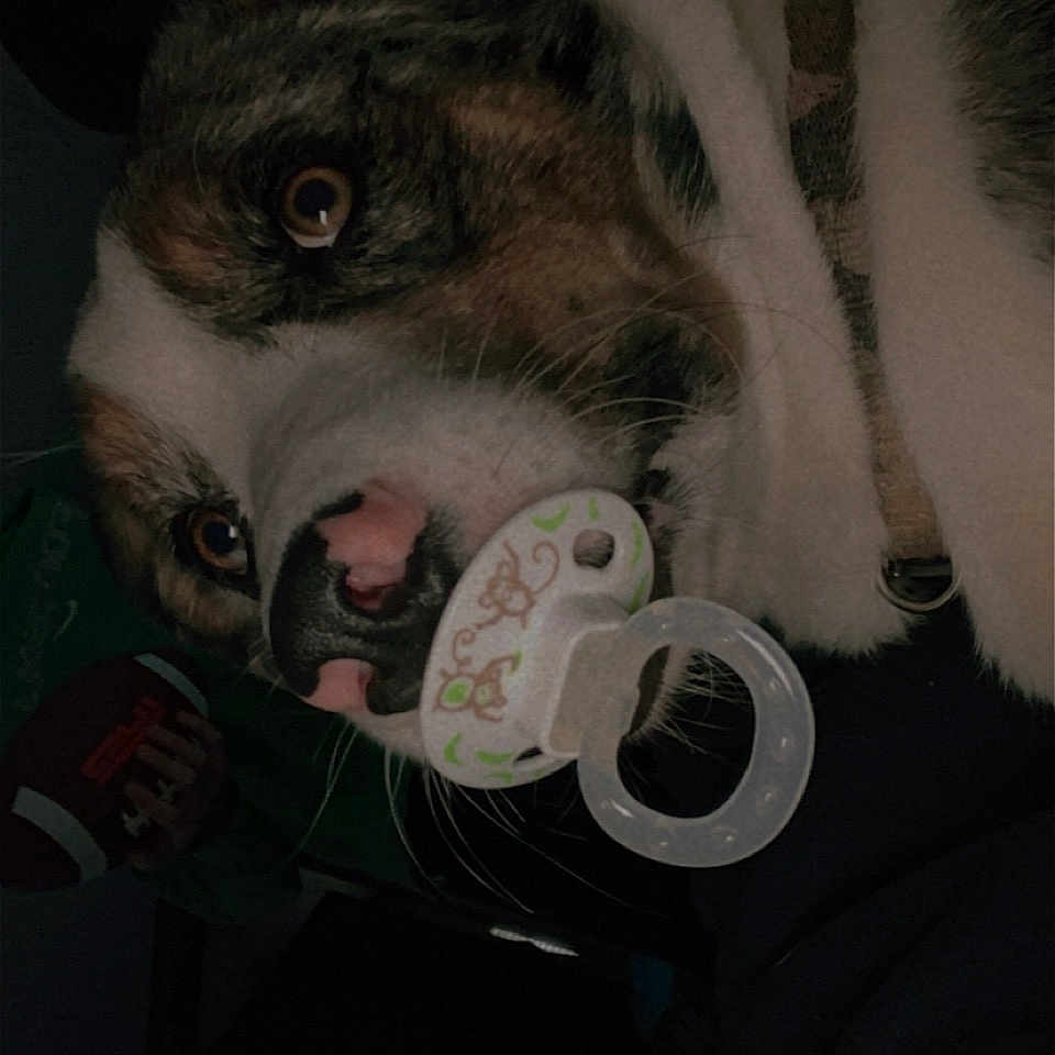 Jax
