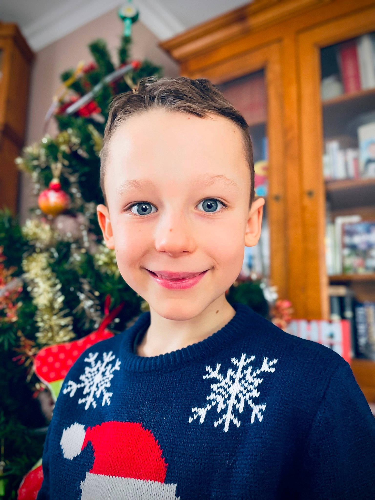 Sacha a rejoint le concours — aidez-le/la à gagner de superbes lots ! bookcase, christmas_decoration, christmas_ornament, christmas_tree, event, eye, face, facial_expression, hair, happy, head, human_body, joy, outerwear, person, photograph, plant, shelf, sleeve, smile