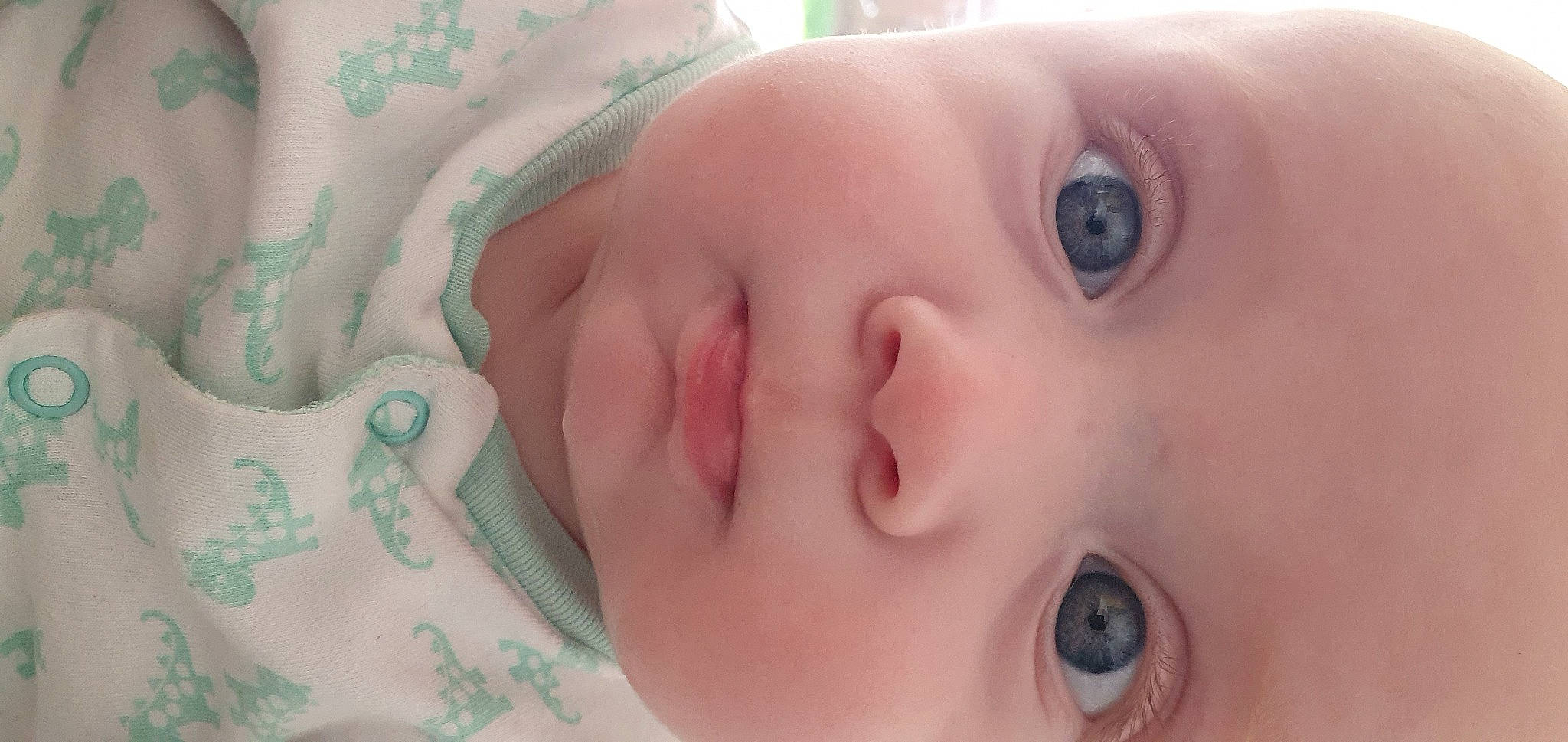 Aleksander is registered to the contest to win money with this photo: baby, cheek, chin, ear, eye, eyebrow, eyelash, face, facial_expression, forehead, hair, head, human_body, iris, lip, mouth, neck, nose, person, skin