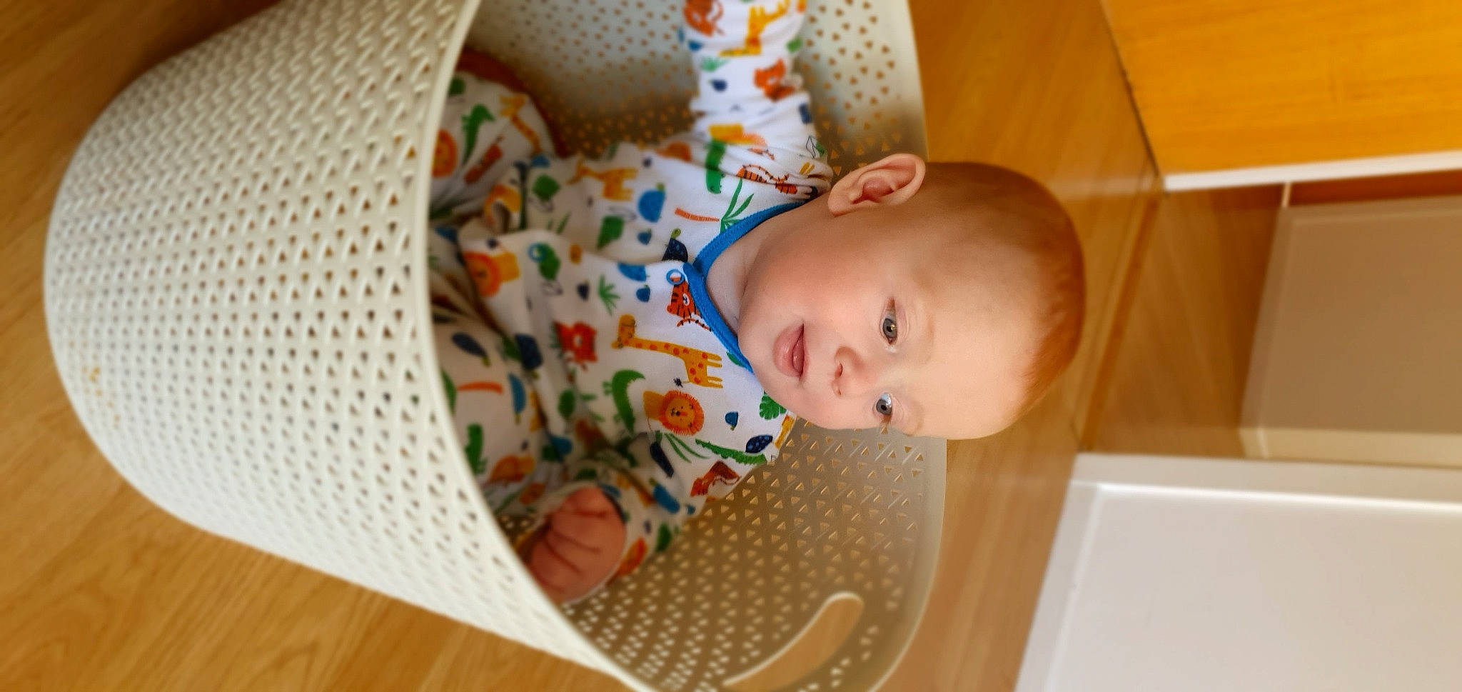 Aleksander is registered to the contest to win money with this photo: baby, baby_products, baby_safety, baby_toddler_clothing, baby_toys, child, circle, comfort, flooring, happy, hardwood, infant_bed, pattern, person, play, product, room, skin, smile, toddler