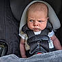 Colton is registered to the contest to win money with this photo: baby, car_seat, infant, straps, blanket, expression, face, furrowed_brow, clothing, sitting, child, seat_belt, graco, head_support, indoor, newborn, person, serious, looking_sideways, closeup