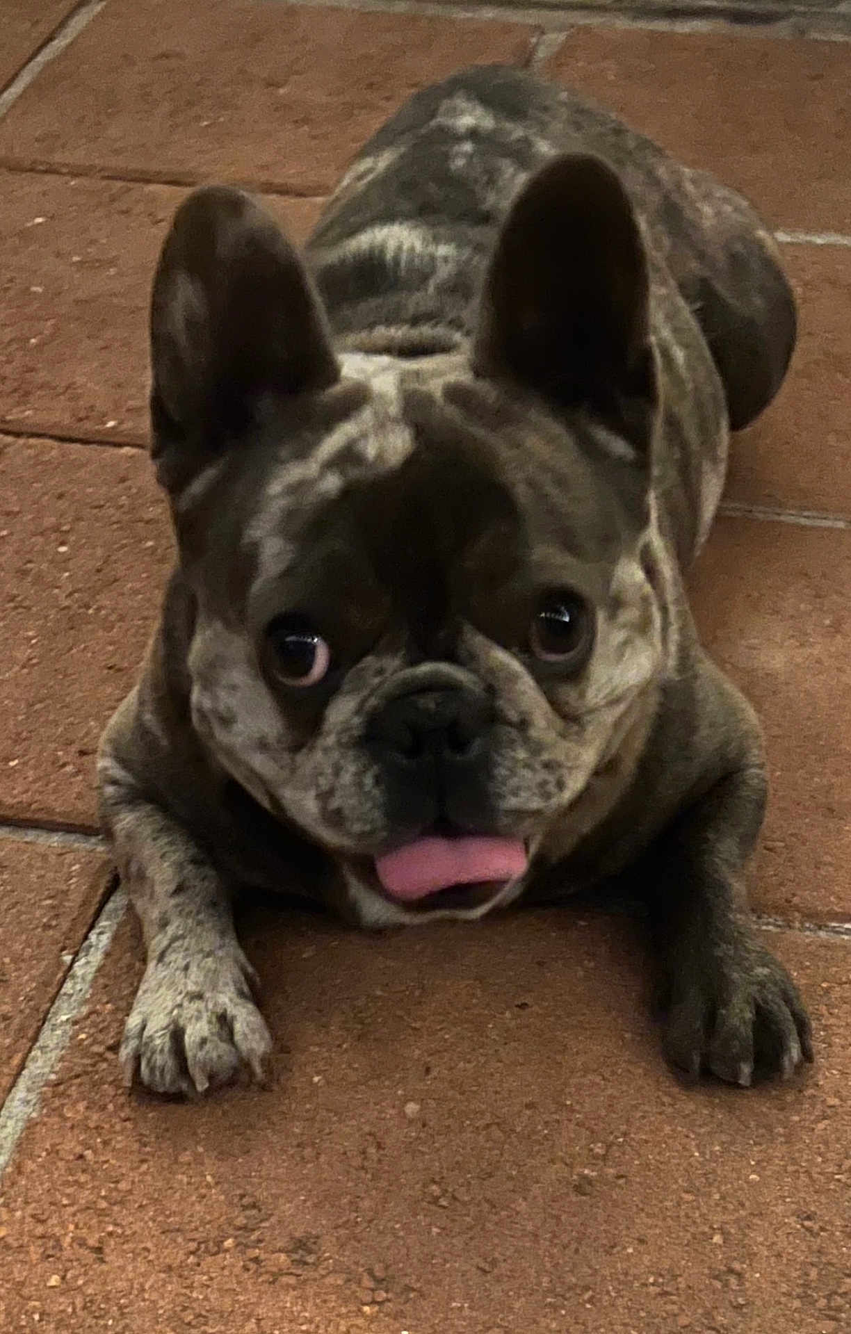 Kash