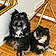 Prince And Luna