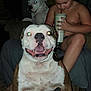 Haskell joined the competition — help win amazing prizes! animal, boy, bulldog, carpet, casual, chair, child, cup, dog, drink, flash, furniture, glowing_eyes, happy, home, indoor, pet, portrait, sitting, smile