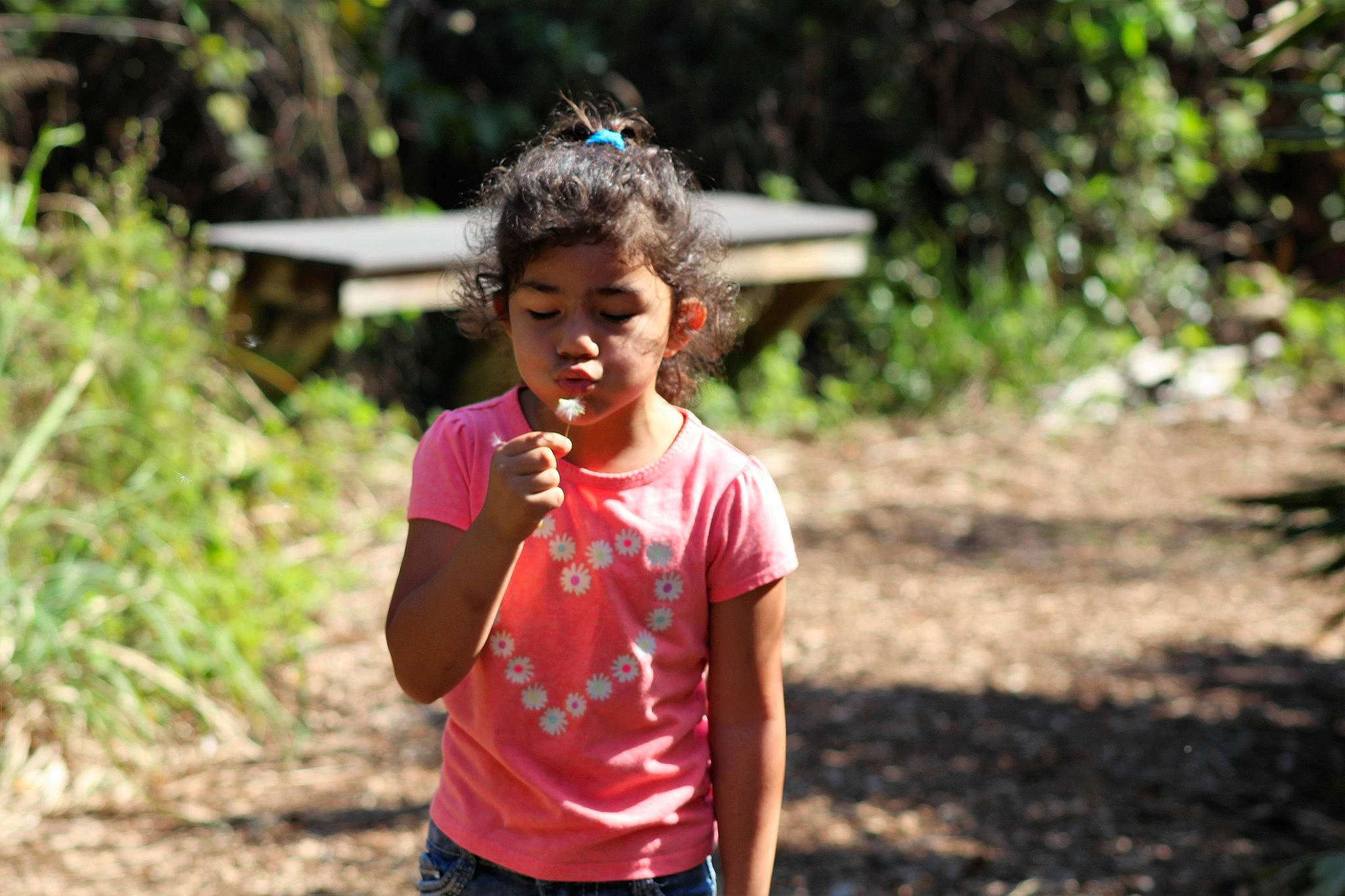 Haylee is registered to the contest to win money with this photo: adaptation, adventure, child, forest, fun, happy, jungle, leisure, people, person, plant, play, recreation, smile, tree, vacation