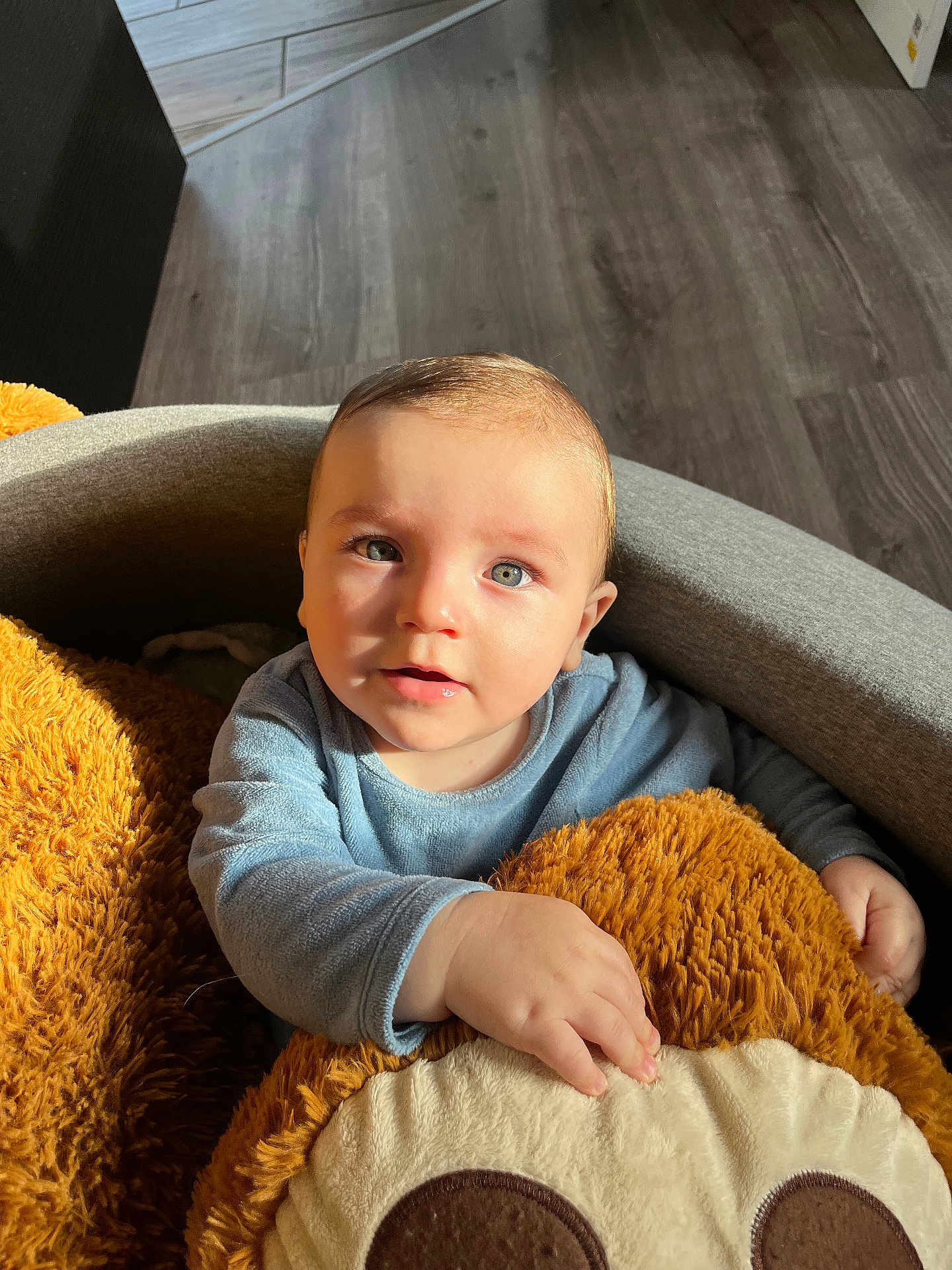Eyden a rejoint le concours — aidez-le/la à gagner de superbes lots ! baby, child, teddy_bear, plush_toy, blue_clothing, cozy, indoor, flooring, wood_floor, soft_texture, cute, portrait, person, infant, sitting, natural_light, warm_light, curious_expression, hand, furniture