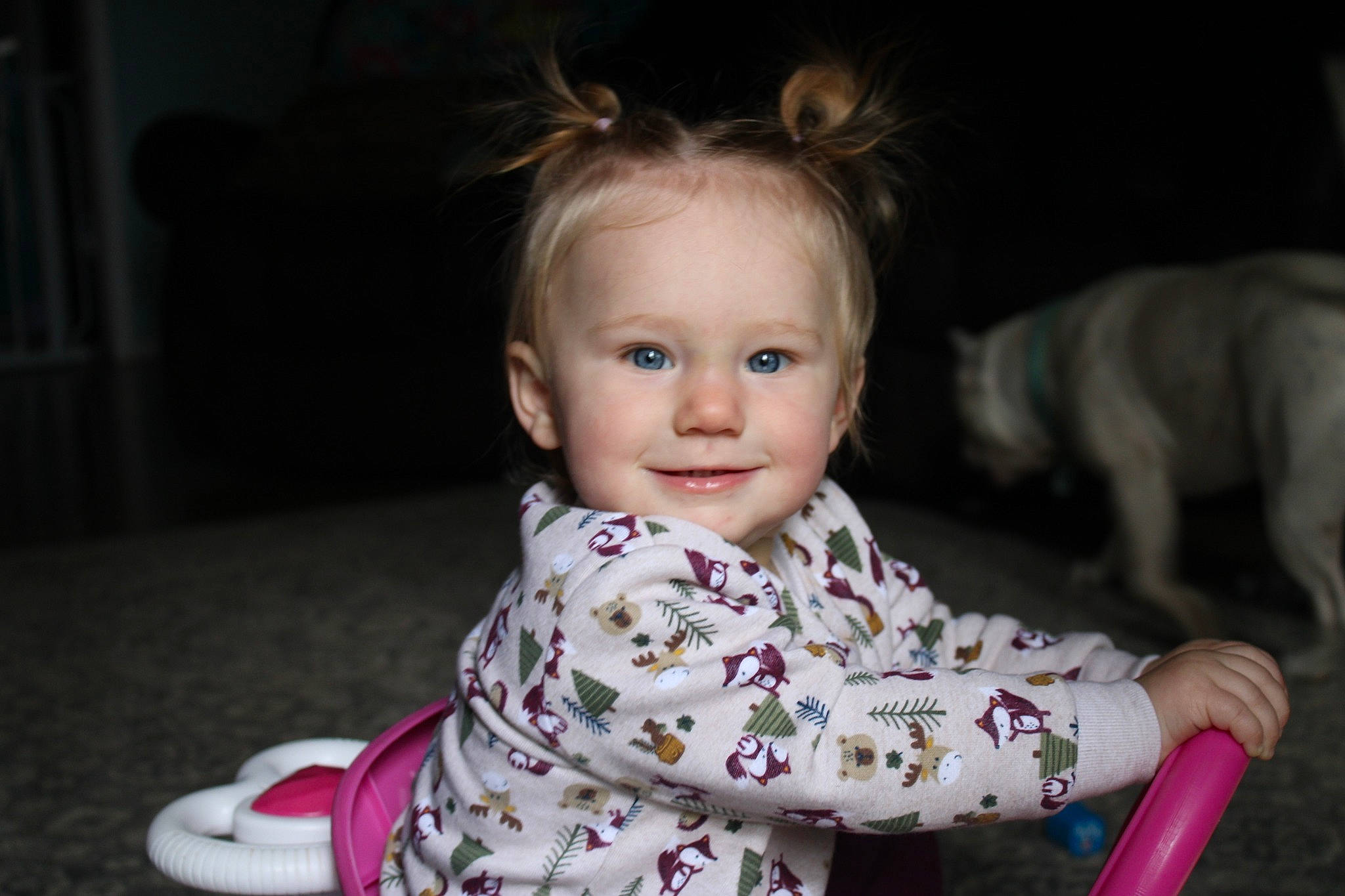 Arizona joined the competition — help win amazing prizes! baby, baby_toddler_clothing, blond, cheek, child, child_model, ear, eye, fur, hair_accessory, headband, iris, joy, organ, person, portrait_photography, toddler