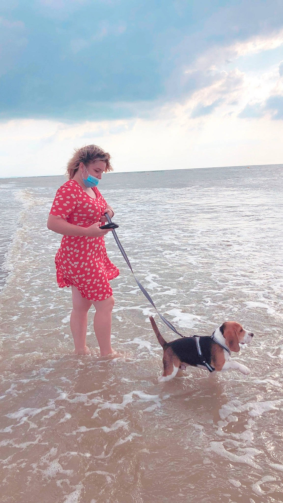 Stick a rejoint le concours — aidez-le/la à gagner de superbes lots ! beach, body_of_water, carnivore, cloud, companion_dog, dog, dog_breed, fawn, fun, lake, leisure, people_in_nature, people_on_beach, recreation, sand, sky, sunglasses, travel, water, wind_wave