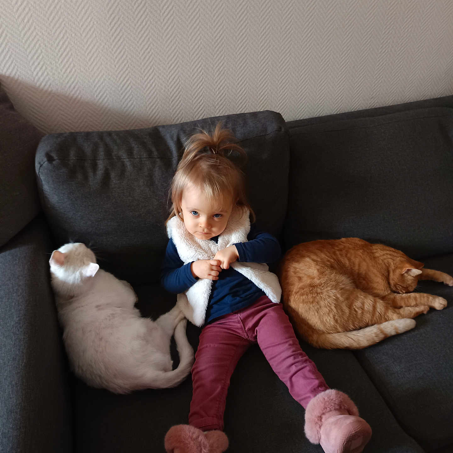 Caramel participe au concours pour gagner de l'argent avec cette photo : boots, cat, child, couch, cozy, cute, fur, furniture, home, indoor, orange_cat, pet, portrait, relaxing, resting, sitting, toddler, wallpaper, white_cat, young_child