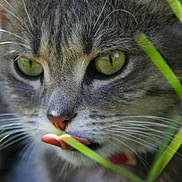 Alcaline a rejoint le concours — aidez-le/la à gagner de superbes lots !