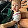 Brady