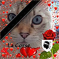 marierosepasquini