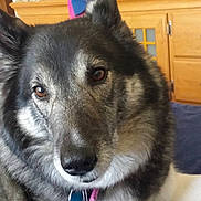 Dakota is registered to the contest to win money with this photo: