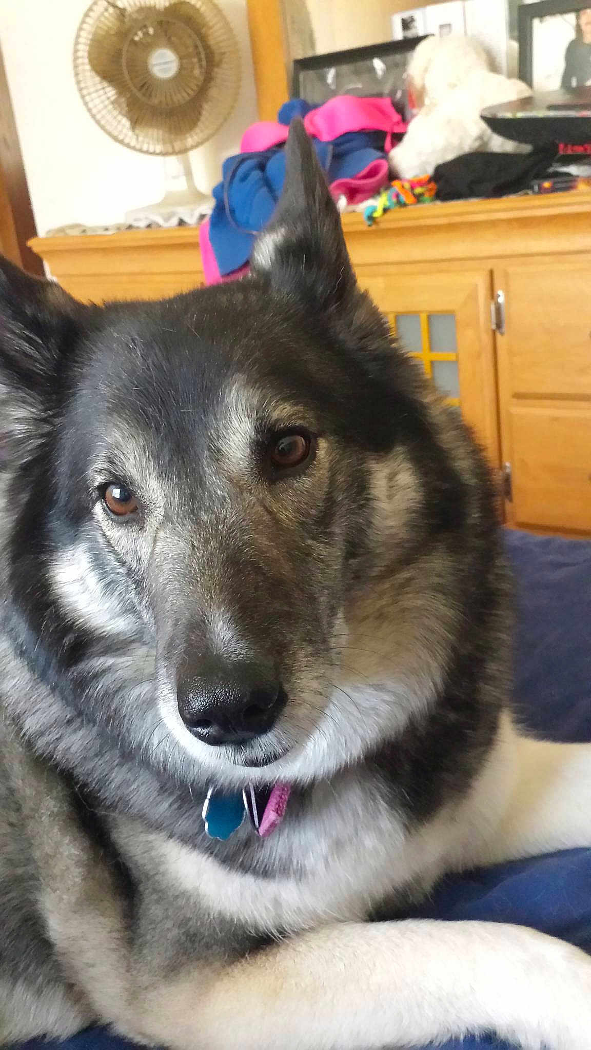 Dakota