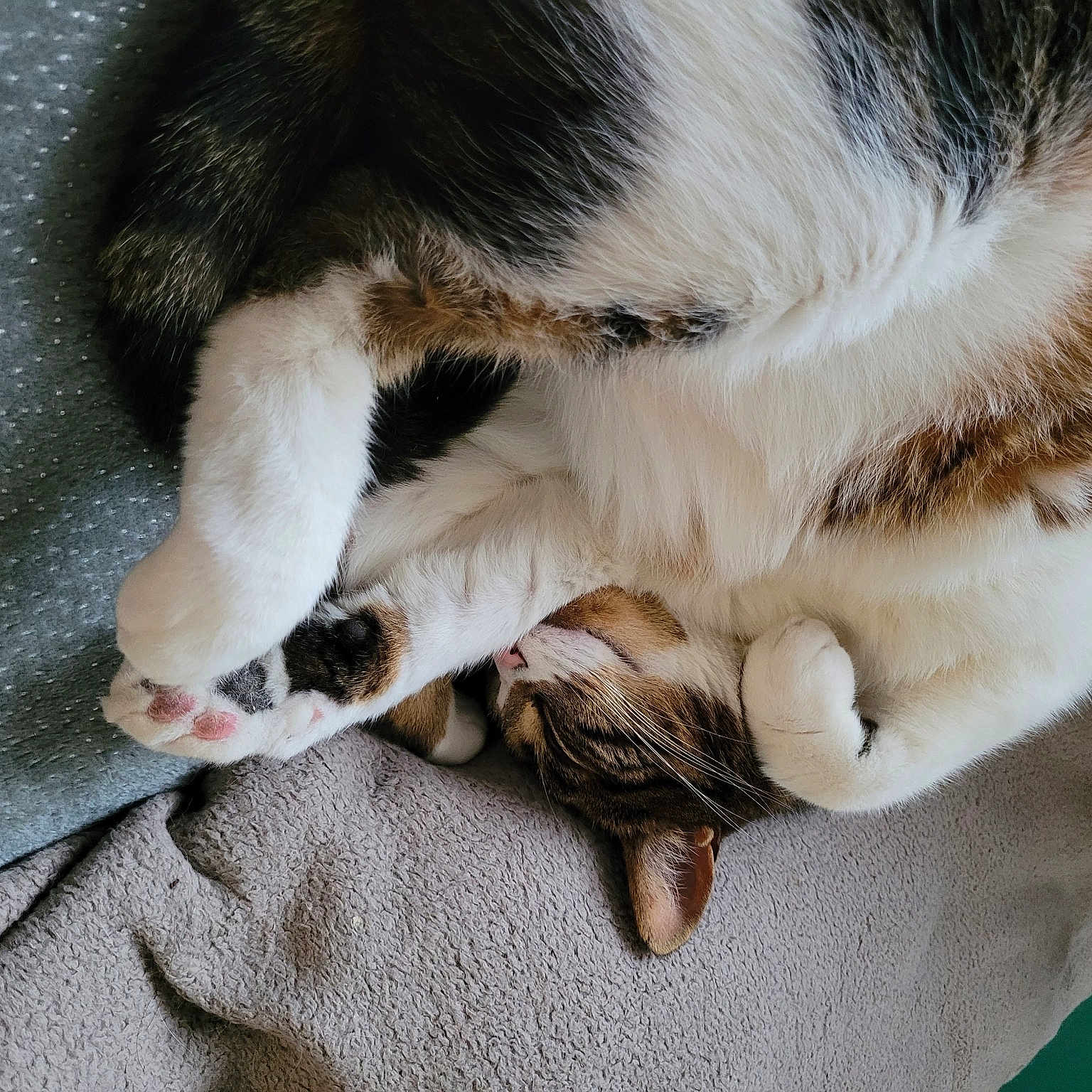 Béni