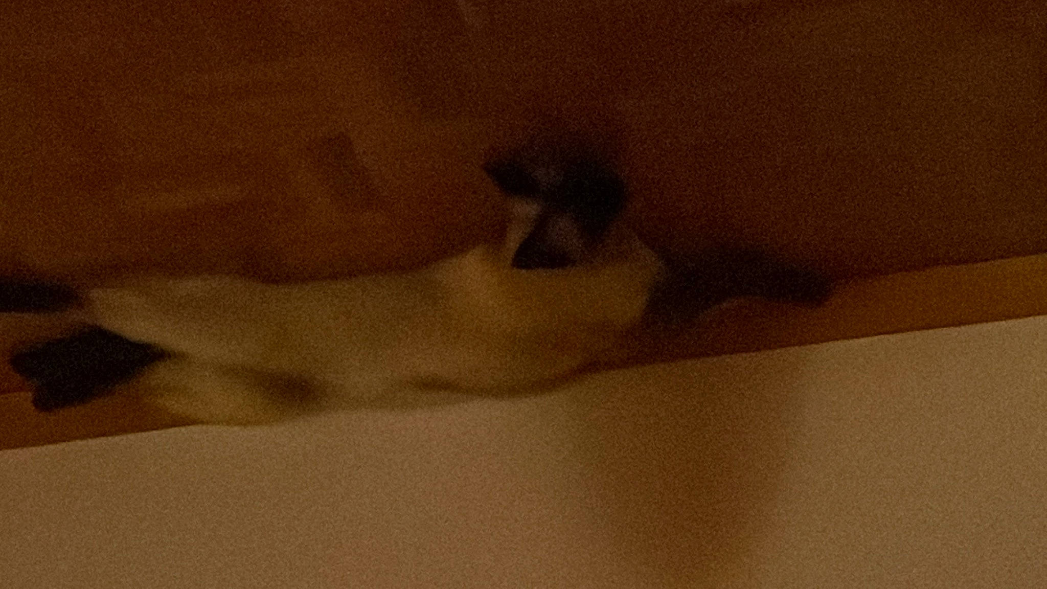 Kayla participe au concours pour gagner de l'argent avec cette photo : abdomen, art, barechested, chest, elbow, gesture, grey, human_leg, navel, paper, paper_product, plaster, room, sculpture, shadow, tints_and_shades, trunk, visual_arts, wood, wrist