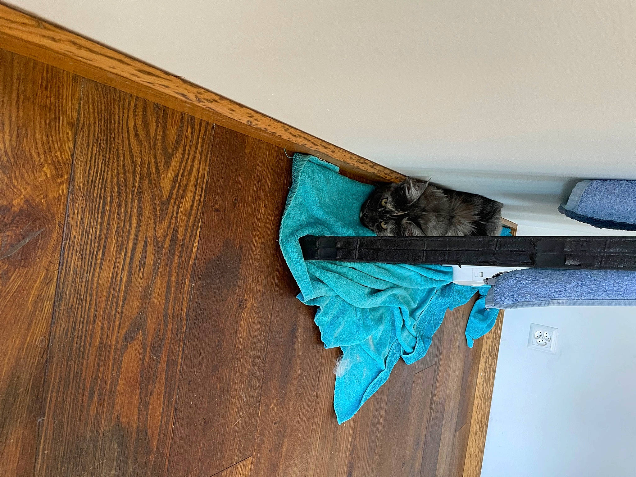 Ferina participe au concours pour gagner de l'argent avec cette photo : electric_blue, fashion_accessory, flooring, hardwood, linens, lumber, natural_material, pattern, plank, plywood, rectangle, room, tints_and_shades, varnish, wing, wood, wood_flooring, wood_stain