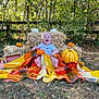 Xavier is registered to the contest to win money with this photo: baby, backyard, clothing, costume, face, fun, glove, grass, happy, head, leisureactivities, nature, outdoors, person, photography, picnic, plant, portrait, sitting, yard