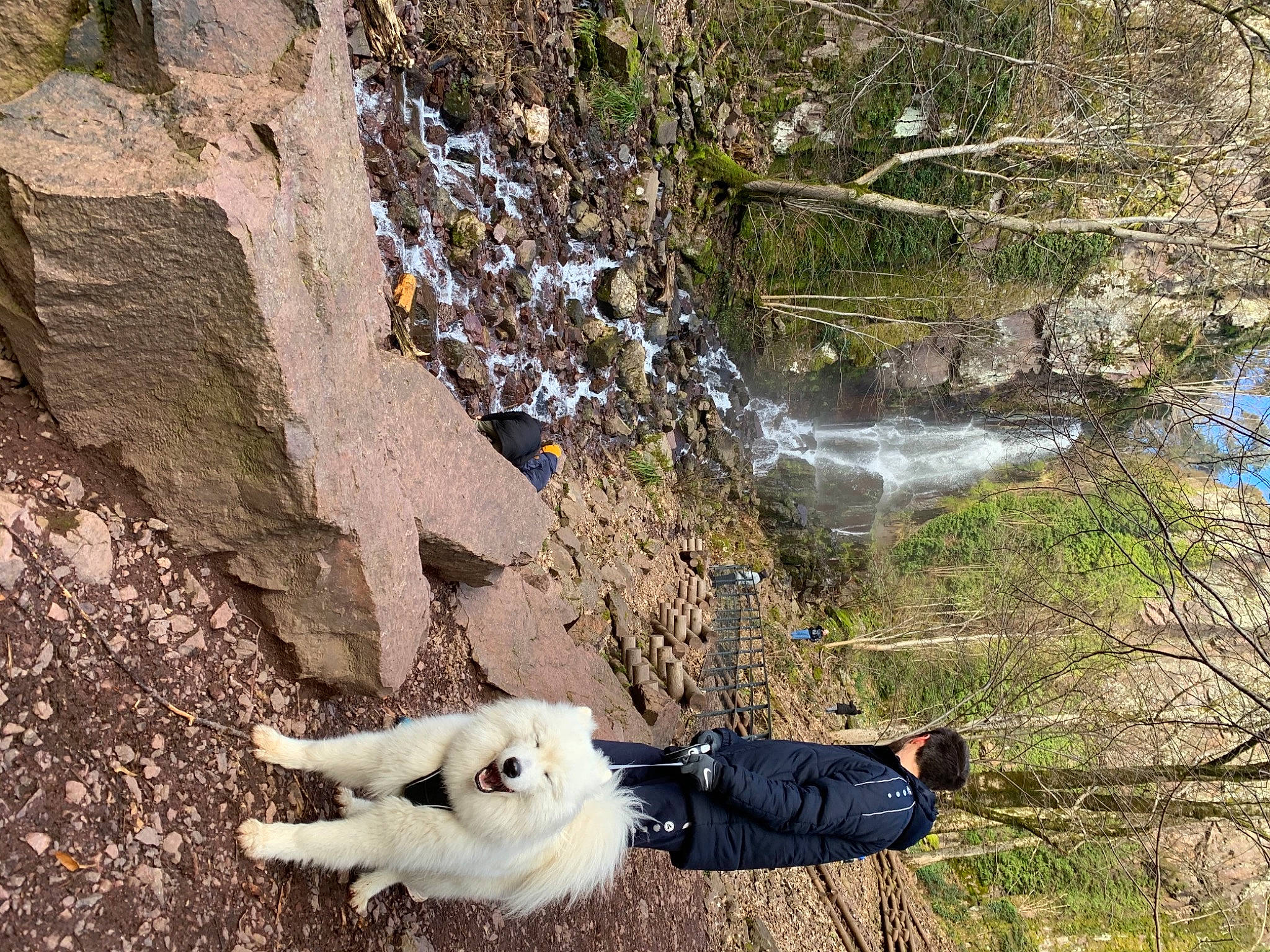 Raven participe au concours pour gagner de l'argent avec cette photo : adventure, bedrock, carnivore, companion_dog, dog, dog_breed, dog_hiking, fawn, geological_phenomenon, geology, grass, people_in_nature, plant, recreation, spring, tail, tree, vertebrate, water, waterfall