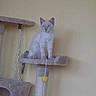 Luna participe au concours pour gagner de l'argent avec cette photo :