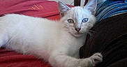 Luna participe au concours pour gagner de l'argent avec cette photo :