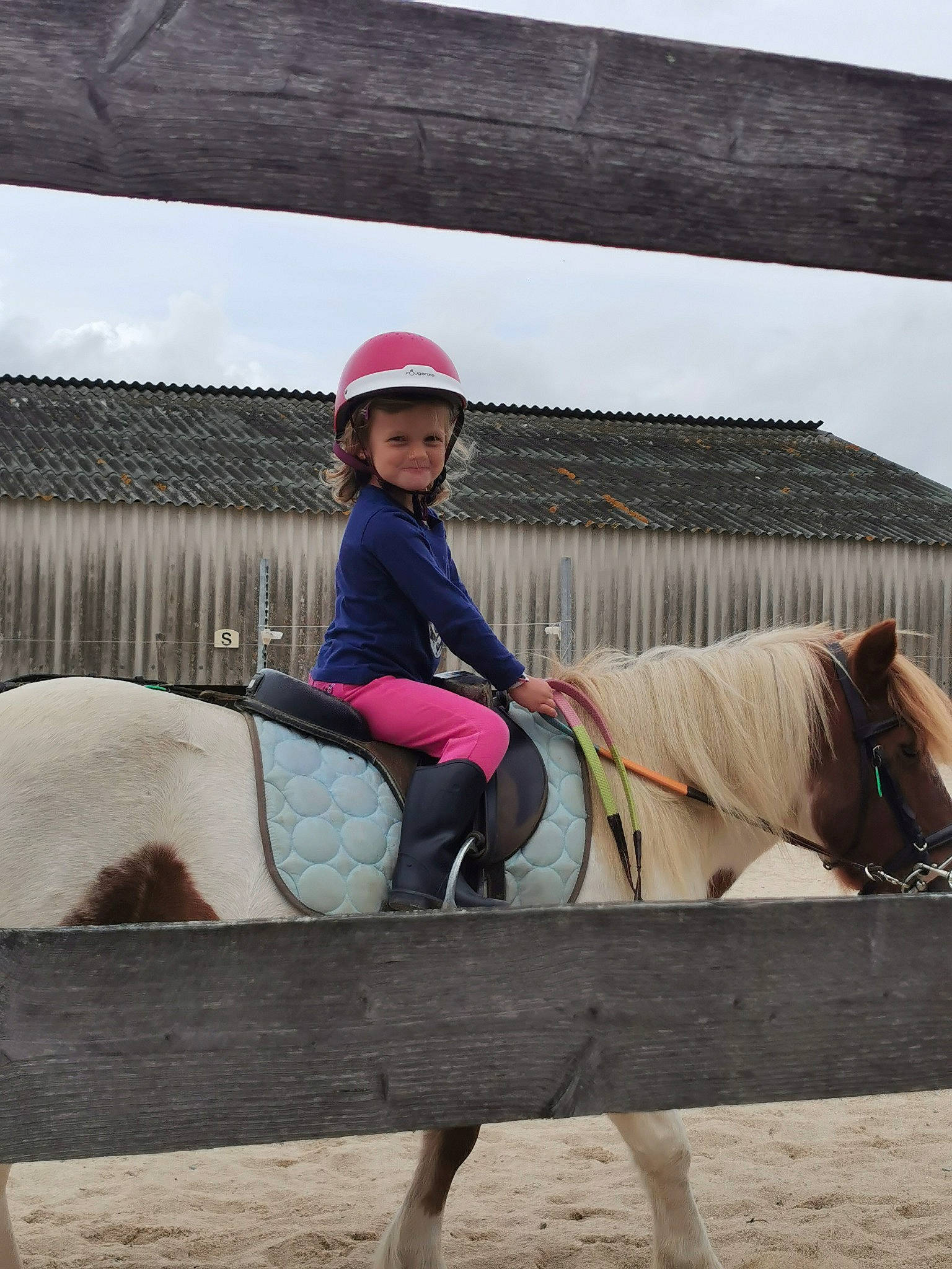 Honorine participe au concours pour gagner de l'argent avec cette photo : bit, bridle, english_riding, equestrian_helmet, equestrian_sport, equestrianism, headwear, helmet, horse, horse_supplies, horse_tack, joy, mane, outdoor_recreation, pack_animal, person, plant, recreation, rein, saddle