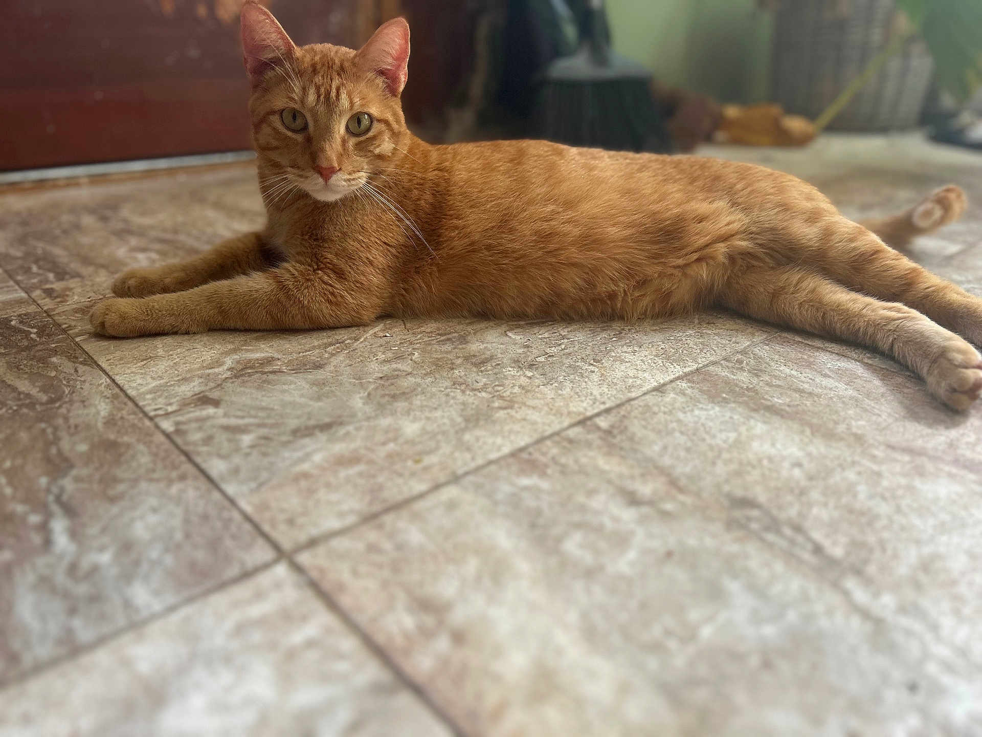 Winston