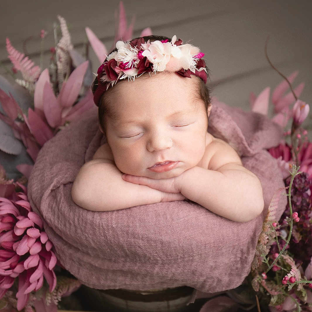 Sterenn a rejoint le concours — aidez-le/la à gagner de superbes lots ! accessories, baby, bodypart, face, finger, flower, flowerarrangement, flowerbouquet, hand, head, ikebana, newborn, person, petal, photography, plant, portrait, purple, rose, sleeping