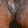 Usual Marlou participe au concours pour gagner de l'argent avec cette photo :