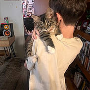 Bailey is registered to the contest to win money with this photo: kitten, cat, person, indoor, home, holding, shoulder, furniture, bookshelf, speaker, tabby, curious, cozy, living_room, white_shirt, cute, pet, fur, young, relaxing