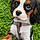 Yzie