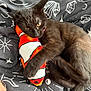 black_cat, kitten, plush_toy, fish_toy, blanket, patterns, playful, pet, animal, cute, indoor, cozy, feline, young_cat, resting, cuddling, soft_toy, curious, close_up, domestic_cat