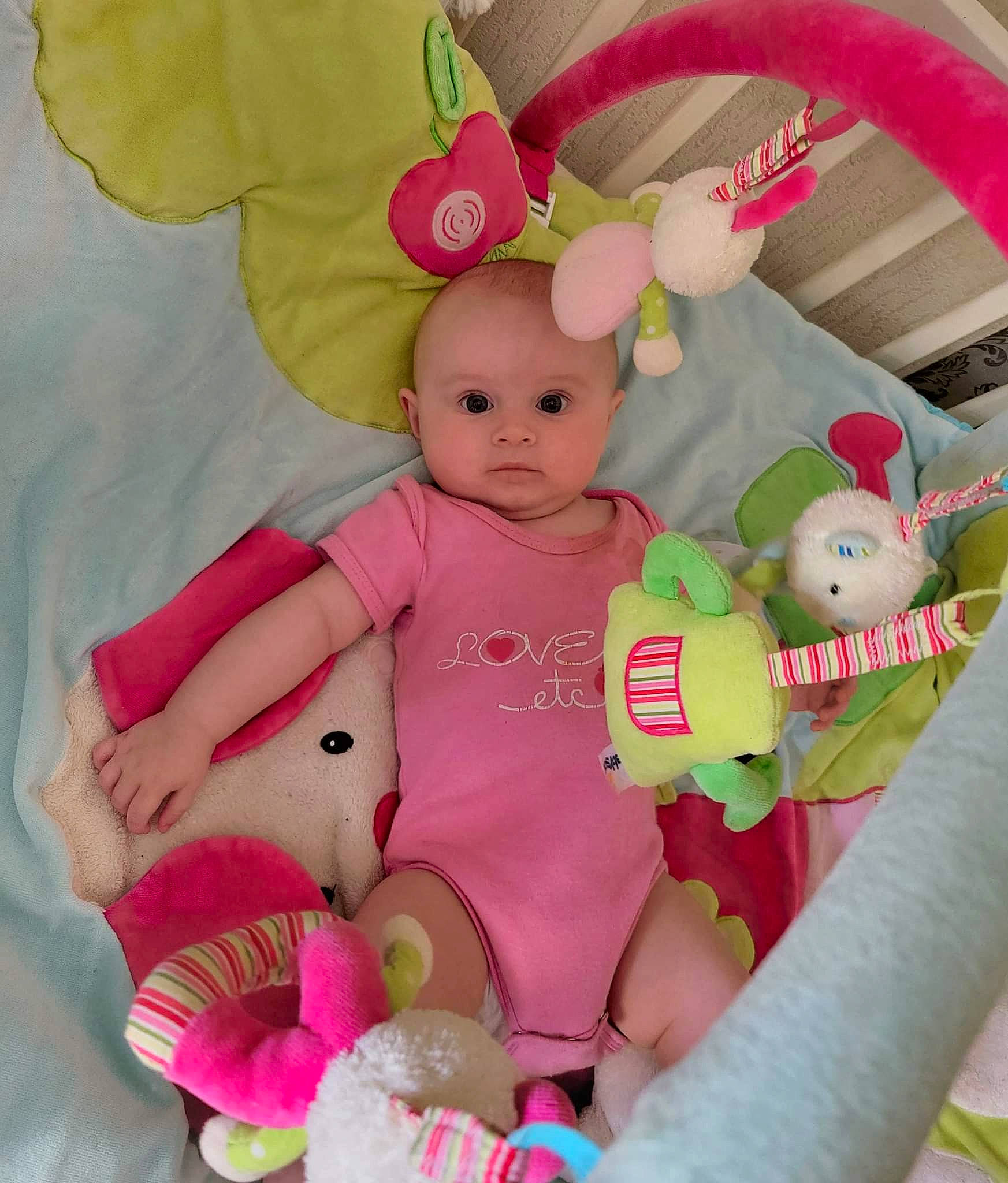 Peyton participe au concours pour gagner de l'argent avec cette photo : baby, baby_products, baby_toddler_clothing, baby_toys, cheek, child, face, font, happy, head, magenta, person, pink, plush, room, skin, stuffed_toy, teddy_bear, textile, toddler