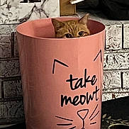 Baby Boo Boo is registered to the contest to win money with this photo: brick_wall, cat, cat_face, container, cute, eyes, funny, gallery_ui, ginger_cat, home_decor, indoor, motion_photo, mug, peeking, pet, pink_container, screenshot, sneaky, still_life, whiskers