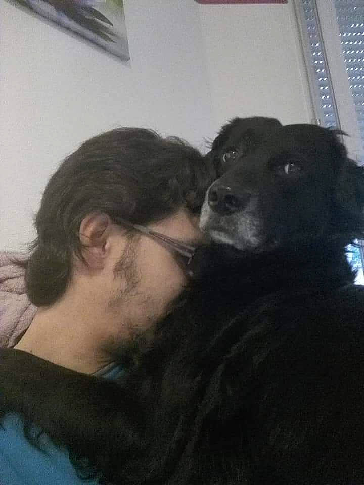 Dimba participe au concours pour gagner de l'argent avec cette photo : beard, borador, canidae, carnivore, comfort, companion_dog, dog, dog_breed, eyewear, fun, fur, guard_dog, picture_frame, room, selfie, sporting_group, whiskers