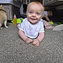 baby, child, carpet, crib, dog, indoor, person, smile, floor, play, toy, bottle, furniture, home, clothing, curious, happy, crawling, infant, room