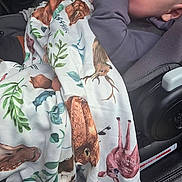 Sid joined the competition — help win amazing prizes! baby, child, car_seat, blanket, animal_print, hand, sucking, face, clothing, seatbelt, interior, car, cute, infant, young_child, comfort, warm, portrait, closeup, relaxed